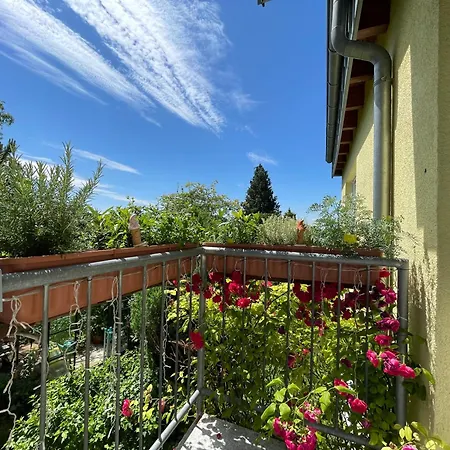 Διαμέρισμα Ferienwohnung In Zentraler Lage Vor Koeln